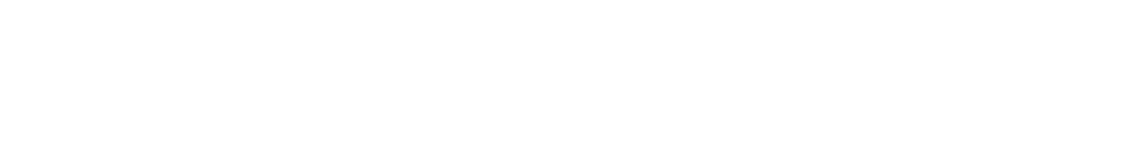 logo_name